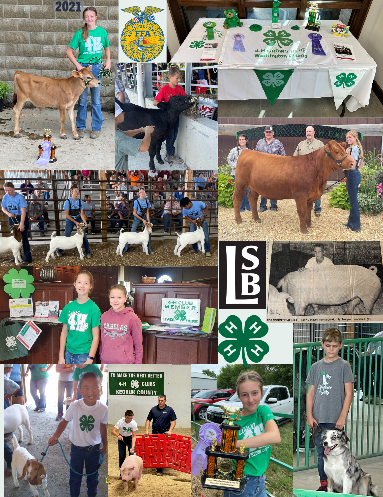 Various pictures of kids in 4-H and FFA at the county fairs or promoting 4-H. 